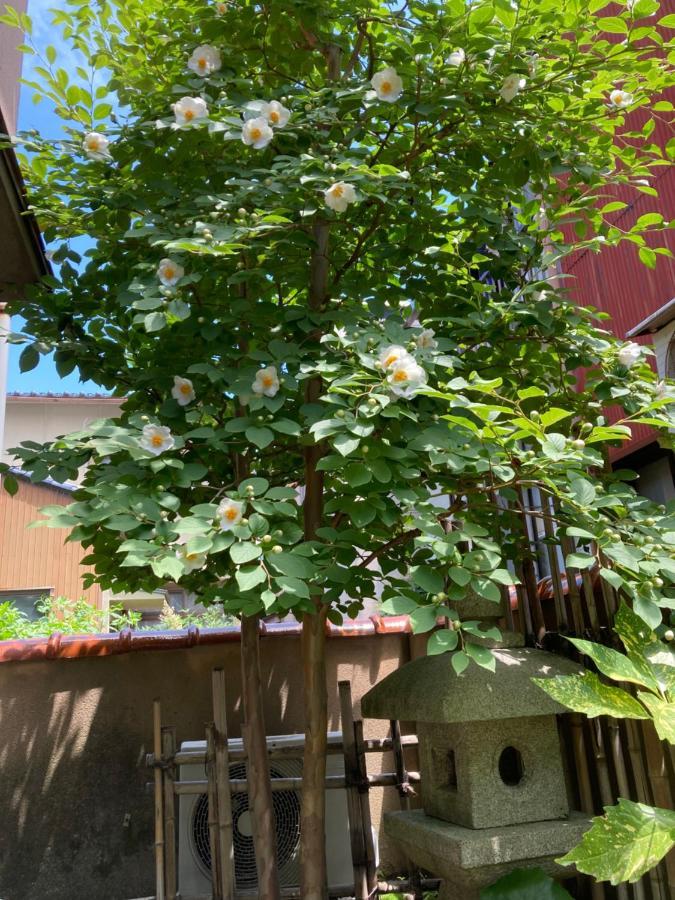 Guesthouse Namaste Kanazawa Exterior photo
